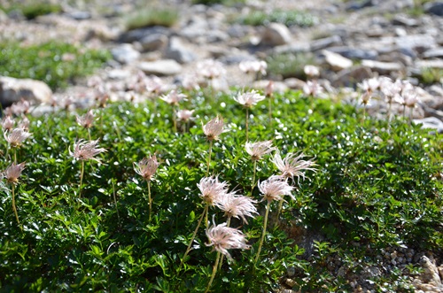 20130720024.jpg