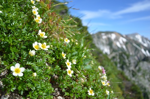 20130720037.jpg