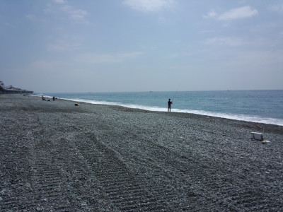 国府津海岸