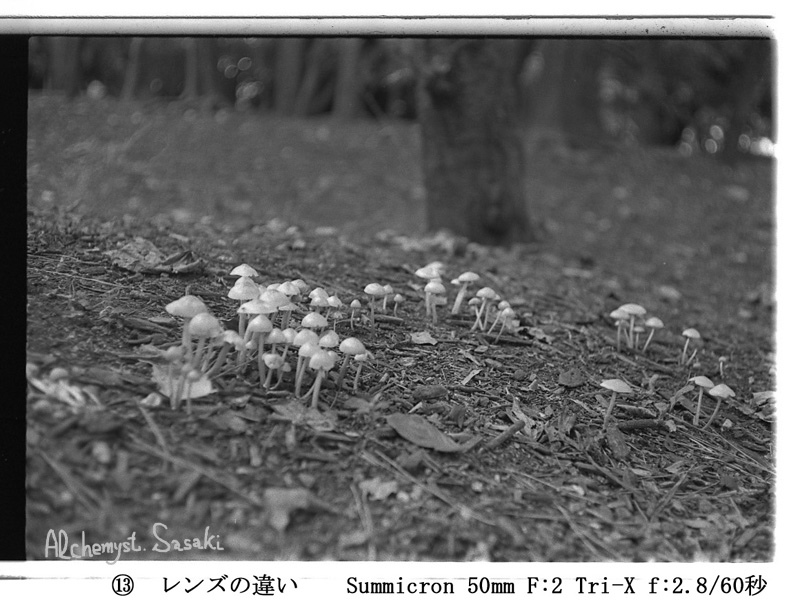 Summicron-2.jpg