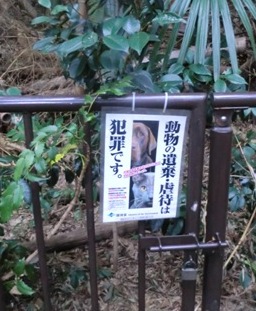等々力猫３