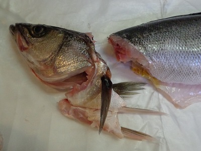 鱸 すずき の捌き方 家庭で簡単調理法 旬の魚を刺身でご堪能 簡単レシピでうちごはん