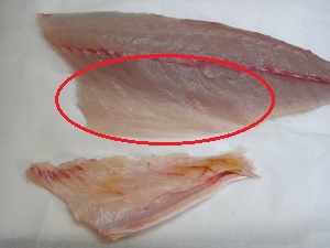 鰤の美味しい若魚 ツバスの捌き方 絶品の刺身を堪能 魚の調理法 簡単レシピでうちごはん