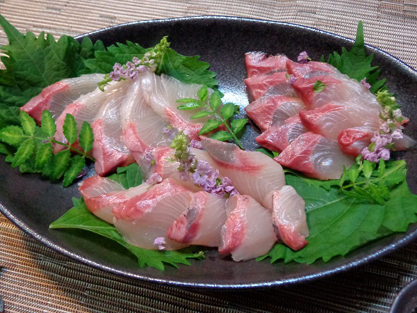鰤の美味しい若魚 ツバスの捌き方 絶品の刺身を堪能 魚の調理法 簡単レシピでうちごはん