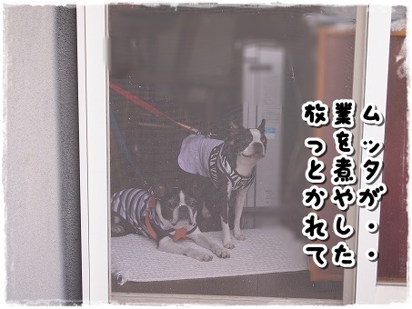 ジンギスカン１