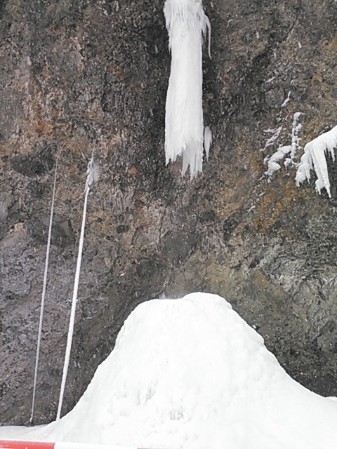 NCM_2250.jpg