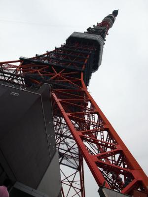下から見上げた東京タワー