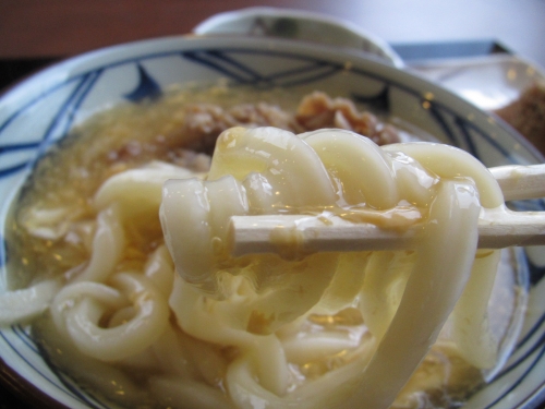 丸亀製麺⑳ (5)