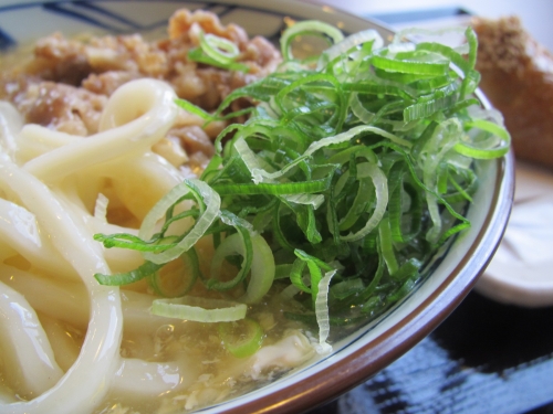 丸亀製麺⑳ (6)