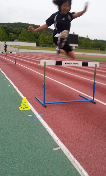 hurdle.jpg