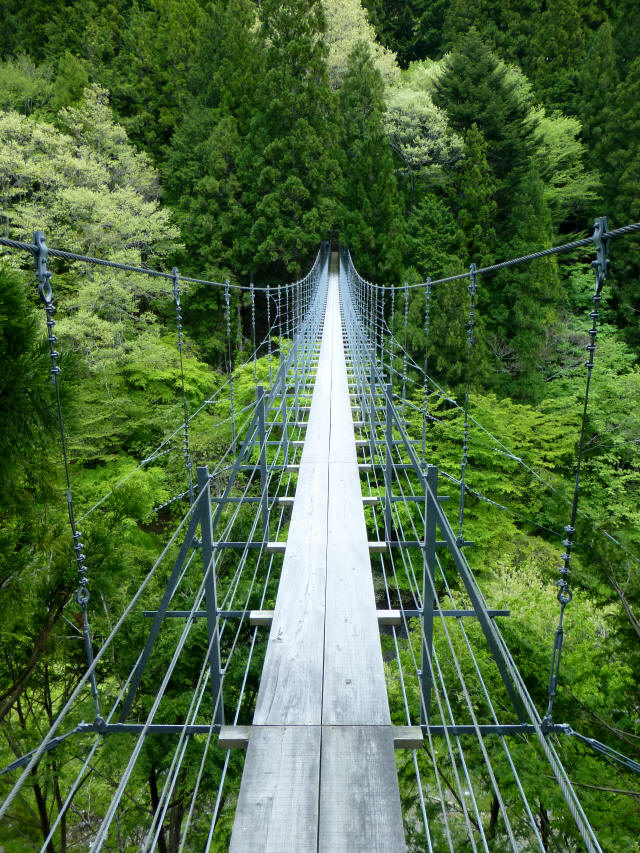 〝新〟夢の吊橋3