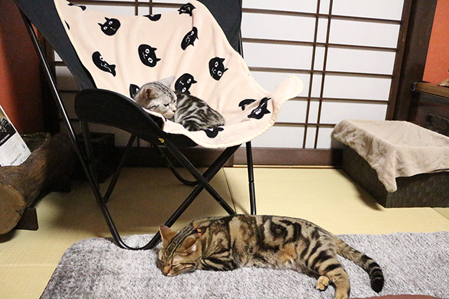 blog_000004437.jpg