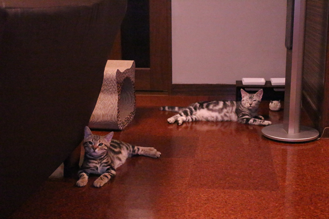 blog_00242.jpg