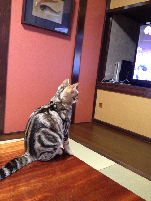 blog_00525.jpg