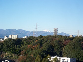 2013 11 13 富士山