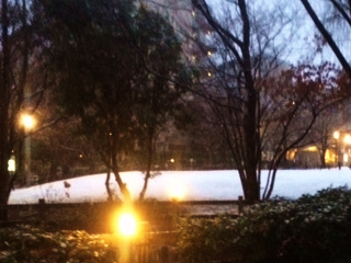 東京で雪積もる by占いとか魔術とか所蔵画像