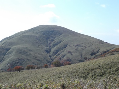 竜ヶ岳2013，10 004