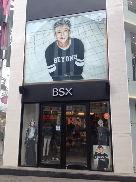 BSX 2