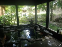 ［写真］亀山温泉 ”湖水亭 嵯峨和” の岩風呂