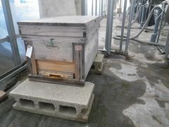 ［写真］本圃ハウスに設置されたミツバチの巣箱